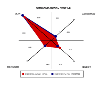 Organizational-Profile1