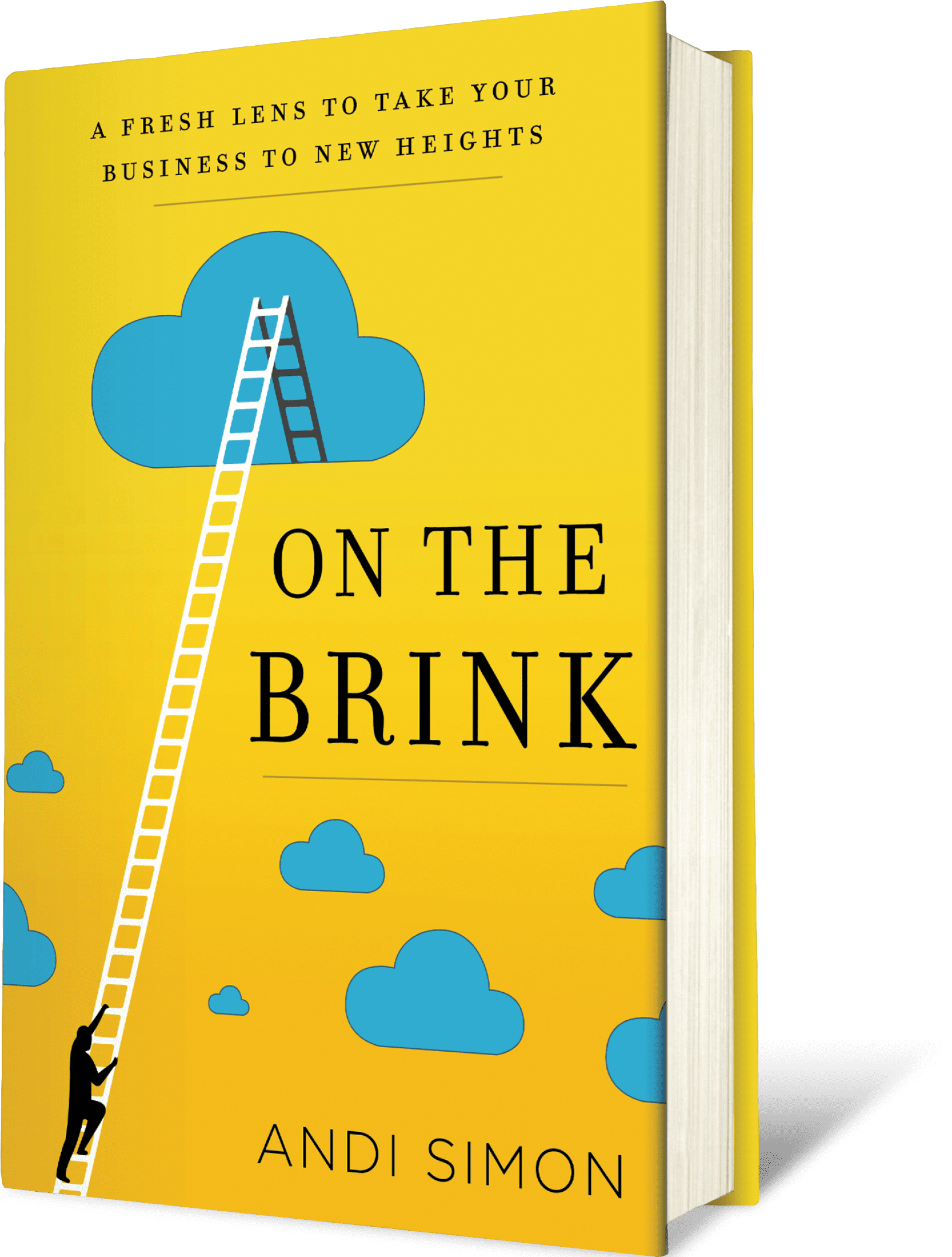 Andi Simon's book "On the Brink: A Fresh Lens to Take Your Business to New Heights"