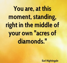 Andrea Simon helps companies find their "acres of diamonds" Andrea Simon helps companies find their "acres of diamonds"
